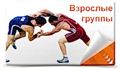 Взрослые группы по Вольной борьбе