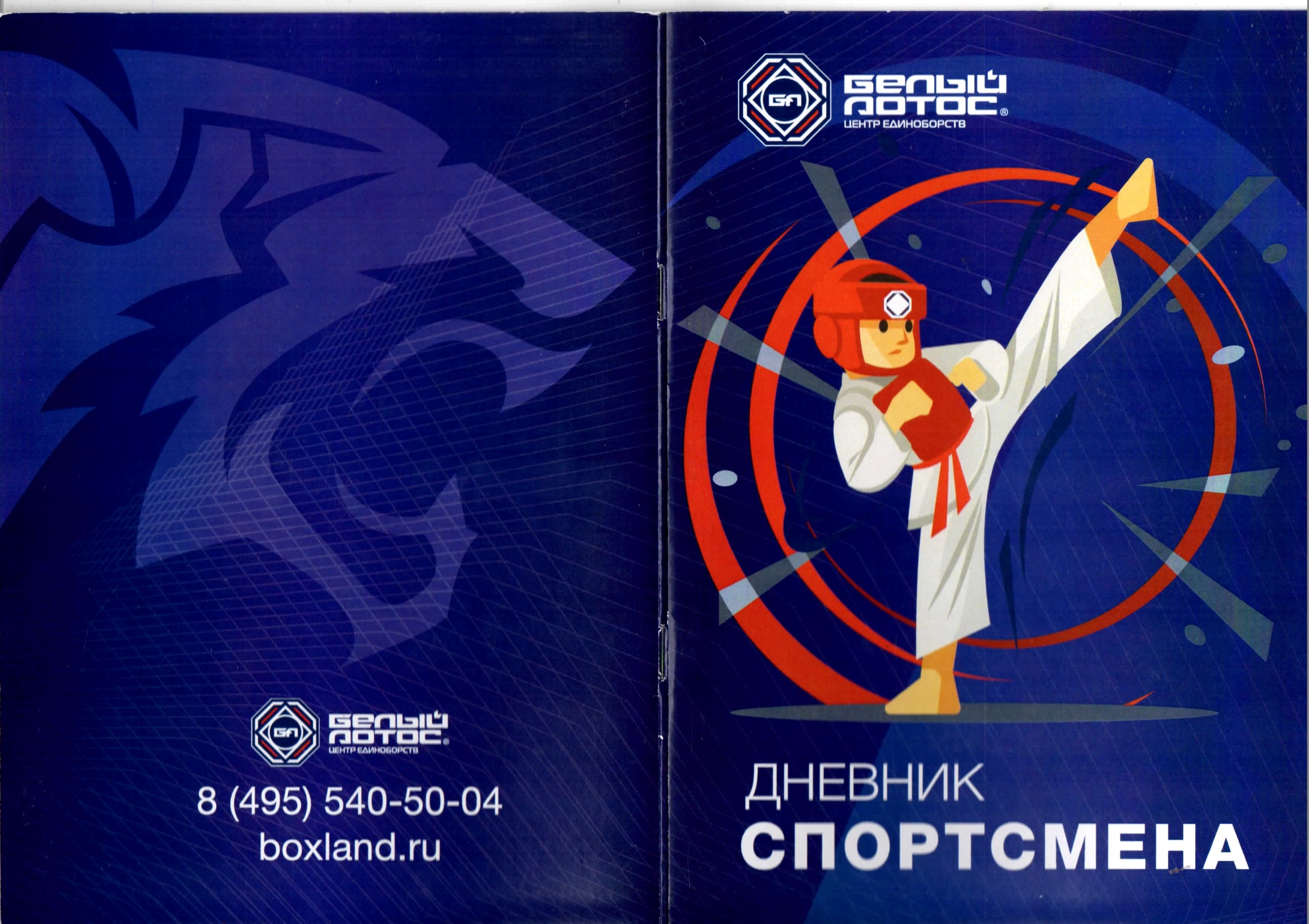 дневник юного спортсмена